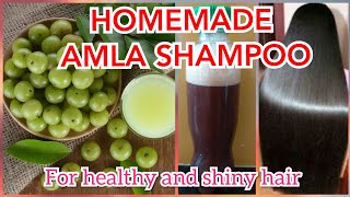 HOMEMADE AMLA SHAMPOO Best shampoostop hairfall amp get healthy amp shiny hairamla shikakai amp reetha [upl. by Ranique708]