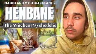 Henbane The Witches Psychedelic History Rituals Medicinal Uses Witches Ointment [upl. by Nylirem211]