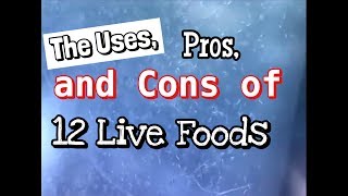 Live Fish Food The Uses Pros and Cons [upl. by Devonne]