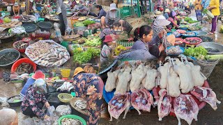 Street Food Tour in Countryside Market  Siem Reap street food  Siem reap market siemreap market [upl. by Binky]