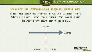 006 Donnan Equilibrium and Driving Force [upl. by Nanyk141]