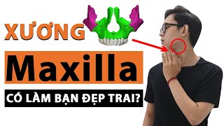 CÁCH ĐỂ CÓ GÓC NGHIÊNG amp JAWLINE THẦN THÁNH ÁP DỤNG KHOA HỌC XƯƠNG MAXILLA VÀ MEWING  Men’s Bay [upl. by Doll]