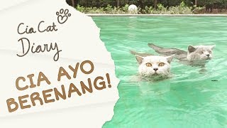 Cia Ayo Berenang  Cia Cat Diary  Ep 16 [upl. by Nosyk]