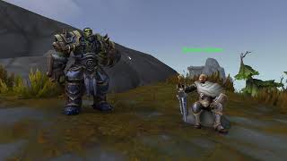 Anduin and Thrall post war within campaign chit chat [upl. by Garris]