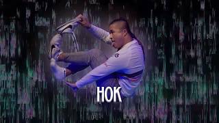 Hok  Judge Showcase  India Finale  Breezer Vivid Shuffle 2019 [upl. by Leuqim6]