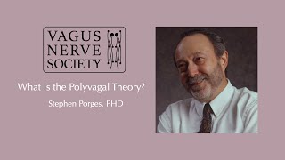 What is the Polyvagal Theory [upl. by Eibbil]