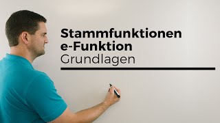 Stammfunktion bilden bei eFunktion Grundlagen Exponentialfunktion  Mathe by Daniel Jung [upl. by Noseyt340]