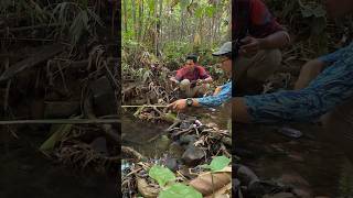 Fishing for Small Fish in Kalimantan Bait Fishing Adventure [upl. by Eenert]