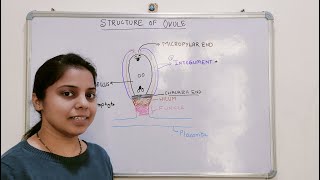 Morphology of Ovule  Micropylar end  Chalaza end  Hilum  Funicle  Placenta  NEET  PreMedical [upl. by Trilbee]