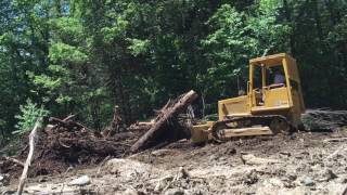 Cat d3 dozer clearing logs and stumps [upl. by Lecroy]