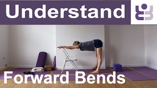 Beginners Iyengar Yoga Class  Understanding Forward Bends [upl. by Elesig596]