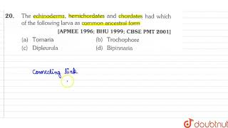 The echinoderms hemichordates and chordates hd which of the following larva as common ancestral [upl. by Fellows]