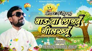 Vadya Lagyu Gilkhiyun  Keshav Baghel Bagh  Song Of Keshav Baghel  Aadiwasi Dj Timli Song 2024 [upl. by Dorlisa379]