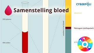 Samenstelling  Bloed [upl. by Mariel]