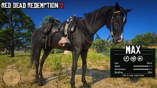 The Most Underrated Horse in Red Dead Redemption 2  Black Arabian  RDR2  PS4 Slim [upl. by Naeloj892]