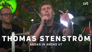 Thomas Stenström  Andas in andas ut  Allsång på Skansen 2023  SVT [upl. by Kaleb]