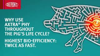 Axtra® PHY the fastacting phytase  DuPont Nutrition amp Biosciences [upl. by Nroht]