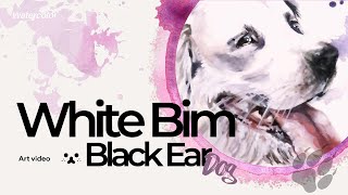 Portrait of a White Bim Black Ear Dog  Relaxing Art Video [upl. by Ervin]