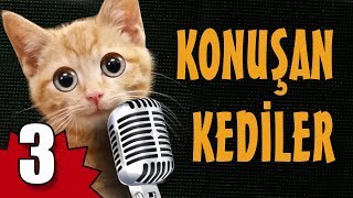 Konuşan Kediler 3  En Komik Kedi Videoları [upl. by Acassej]