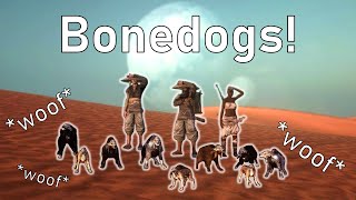 Breaking Kenshi with Bonedogs – Bonedogs Everywhere Kenshi [upl. by Volny949]