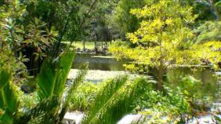 Gold Coast Regional Botanic Gardens  Sensory Garden QLD 4215 [upl. by Florence]