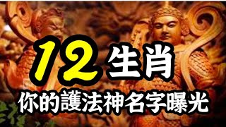 《藥師經》中隱藏著12生肖的守護神？12藥叉大將中，那一位是你的護法神？藥師佛 [upl. by Ettenal321]