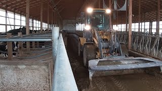 Lely robot refusals explained  Heifer barn cleaning [upl. by Nilkoorb]