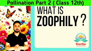 Pollination In Plants Part2 Zoophily  Sexual Reproduction In Plants Class 12 [upl. by Aniger419]