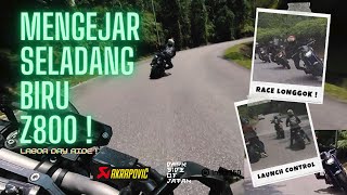 Mengejar Seladang Biru Z800 di Bukit Tinggi  MT09 V1 Pure Sound  4K [upl. by Uela]