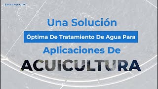 una solución óptima de tratamiento de agua para aplicaciones de acuicultura  espureaquacom [upl. by Binni]