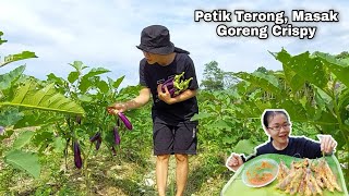 HIDUP DI DESA PETIK TERONG DIMASAK GORENG CRISPY  MUKBANG INDONESIA [upl. by Ellerrad]