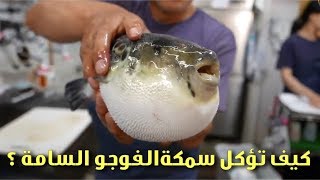 كيف تطهى وتؤكل سمكة الفوجو السامة في اليابان  How to Cook and Eat Poisonous Fugu Fish in Japan [upl. by Sarkaria600]