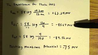 Flow of ions at resting potential [upl. by Combe312]