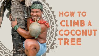 How To Climb a Coconut Tree [upl. by Ashby]