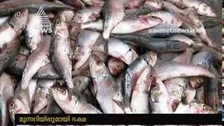 Operation Sagararani  Formalin Laced fish caught at Kozhikode [upl. by Racso271]