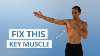 5 Unique Serratus Anterior Exercises for Strong amp Stable Shoulders [upl. by Audrey]