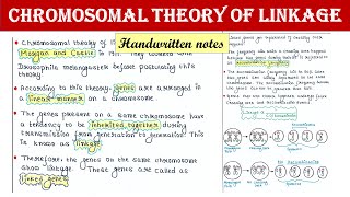 Chromosomal theory of linkage [upl. by Karina]