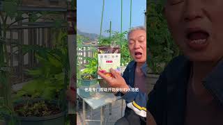 Potassium dihydrogen phosphate flowering and pollination foliar fertilizer rurallife garden [upl. by Breskin]