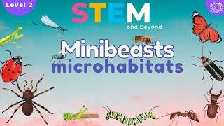 Minibeasts Microhabitats  Science For Kids  STEM Home learning [upl. by Loutitia996]