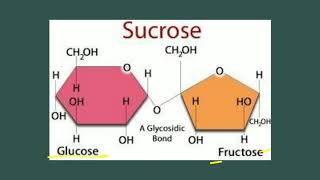 Oligosaccharides  Carbohydrates  Biochemistry [upl. by Neve]