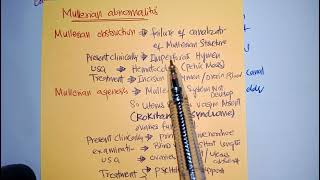 MULLERIAN abnormalities Gymeacology Chapt1 ten teacher [upl. by Forsyth]