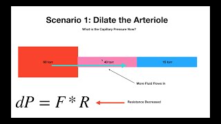 Capillary Pressure [upl. by Leslie]