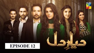 Diyar e Dil Episode 12 HUM TV Drama [upl. by Rifkin700]