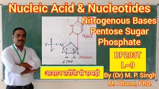 Nucleic acid amp Nucleotides  Intro Definition  DNA RNA  Biomolecule  Biochemistry  BP203T  L9 [upl. by Yaras901]