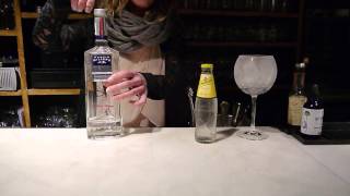 Gin Tonic con ginebra Martin Millers [upl. by Amaso]