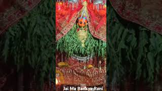 Ma Bankya Rani song mataji trending viralshorts song viralvideo [upl. by Siusan170]