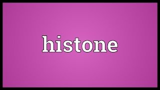 Histone Meaning [upl. by Sidran]