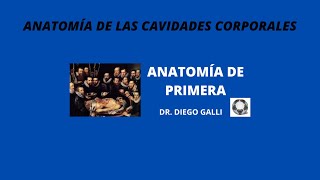 ANATOMÍA DE LAS CAVIDADES CORPORALES [upl. by Jeramie]