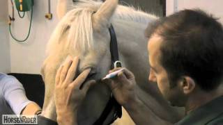 How to Administer Eye DropsCream  HorseandRider UK [upl. by Hedda]