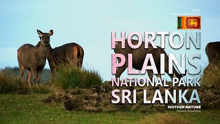 Horton Plains National Park Sri Lanka [upl. by Garneau]